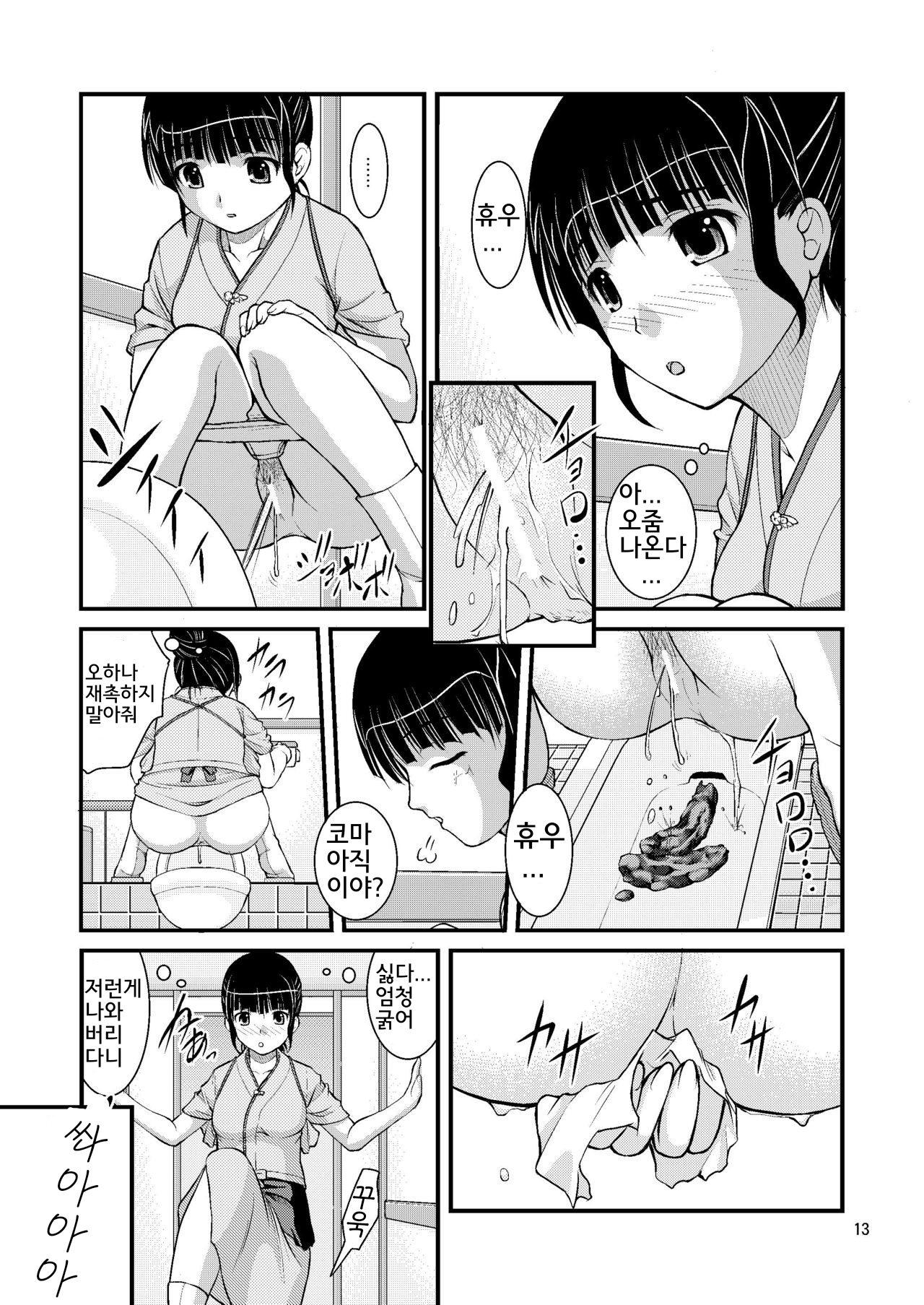 Bou Onsen Ryokan Juugyouin Toilet Tousatsu page 12 full