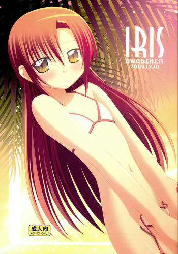 (C75) [Awareness (Aikawa Touma)] IRIS (Hayate no Gotoku!) cover