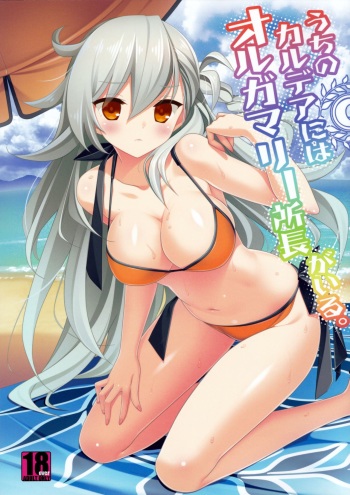 (C92) [BERRY BAGEL (Kanekiyo Miwa)] Uchi no Chaldea ni wa Olga Marie Shochou ga Iru. (Fate/Grand Order) [English] [xinsu] cover