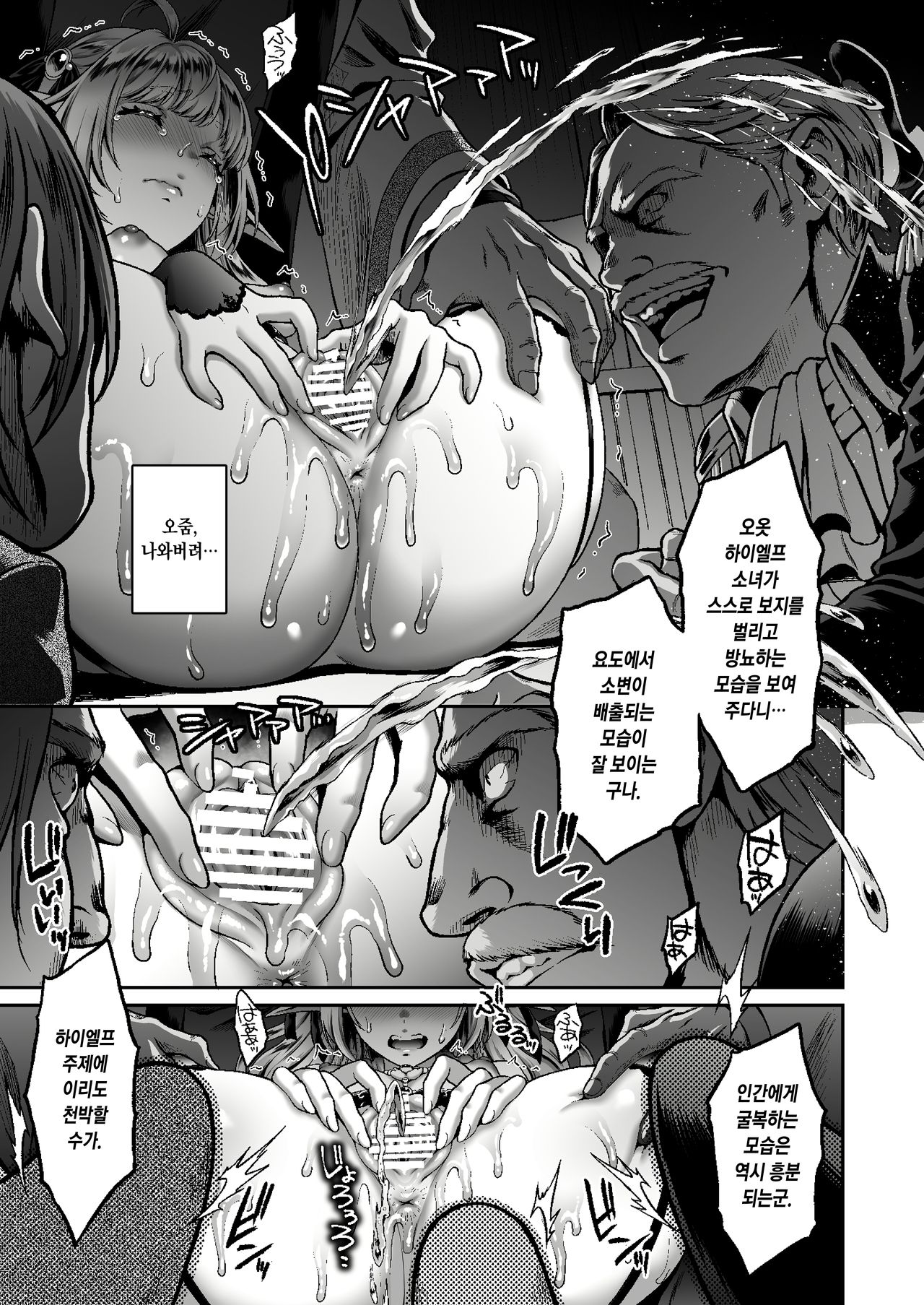 Tasogare no Shou Elf 6 - The story of Emma's side | 황혼의 창엘프 6 page 11 full