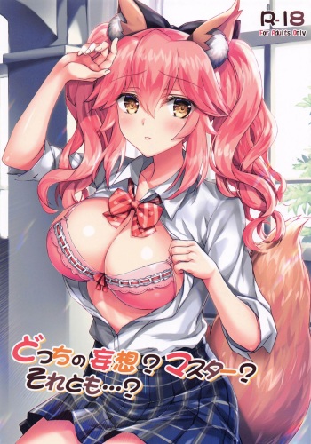 [Akaneiro (Rimiki, Yakifugu)] Docchi no Mousou? Master? Soretomo...? (Fate/Grand Order, Fate/EXTELLA) cover