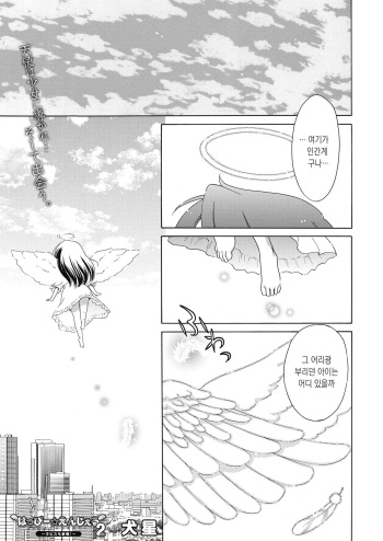 [Inuboshi] Happy Angel 2 ~Rapis mo Sansen~ (COMIC HOTMILK 2020-06) [Korean] [Digital] cover