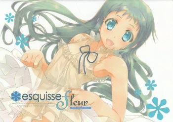 (C80) [CUT A DASH!!, Blazer One (Mitsumi Misato, Amaduyu Tatsuki)] esquisse fleur (Various) cover