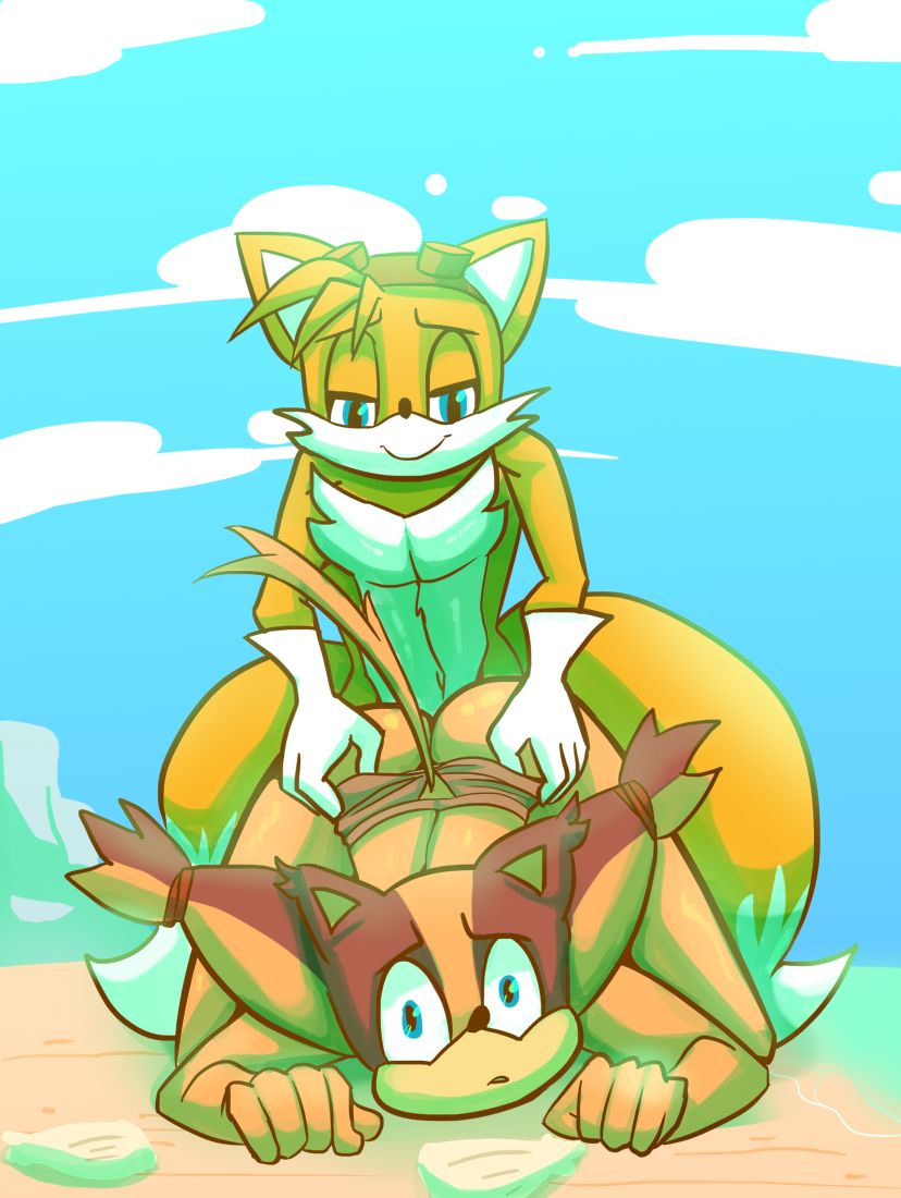 Sticks on the Beach page 3 full