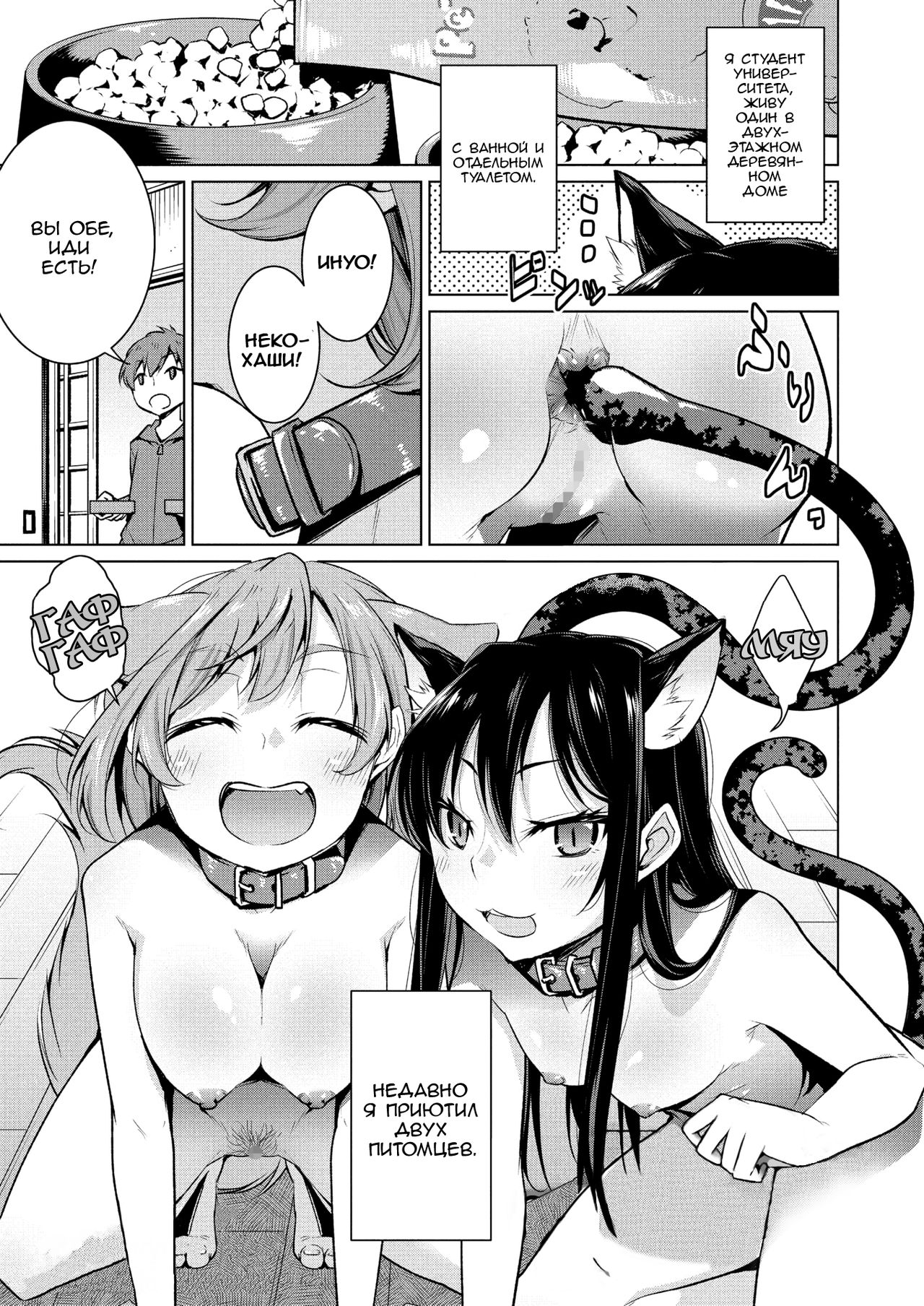 Narikiri Wan Nyan page 1 full