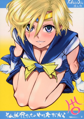 (C85) [Barbarossa (Shinonome Tarou)] Sore ga Boku-tachi no Yarikata dakara. (Bishoujo Senshi Sailor Moon) cover