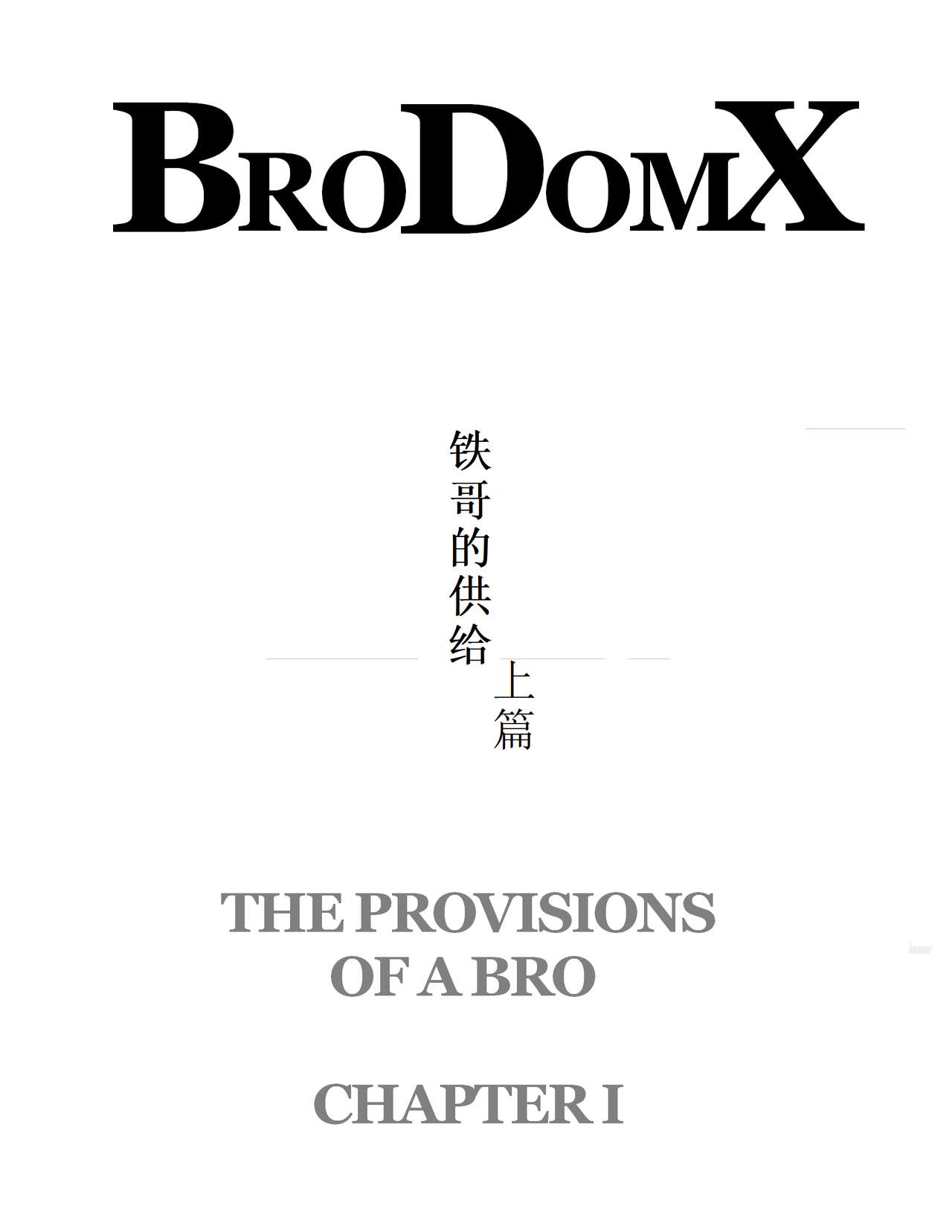 BroDomX - The Provisions of a Bro page 4 full