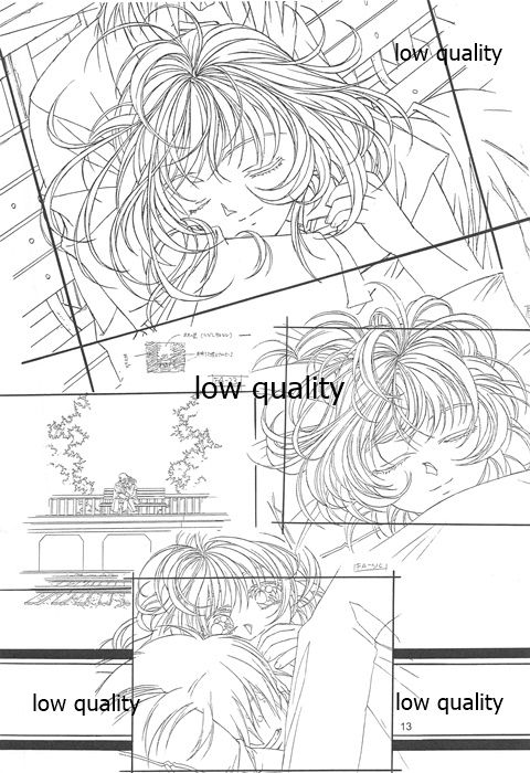Flutter of birds 線画集 page 12 full
