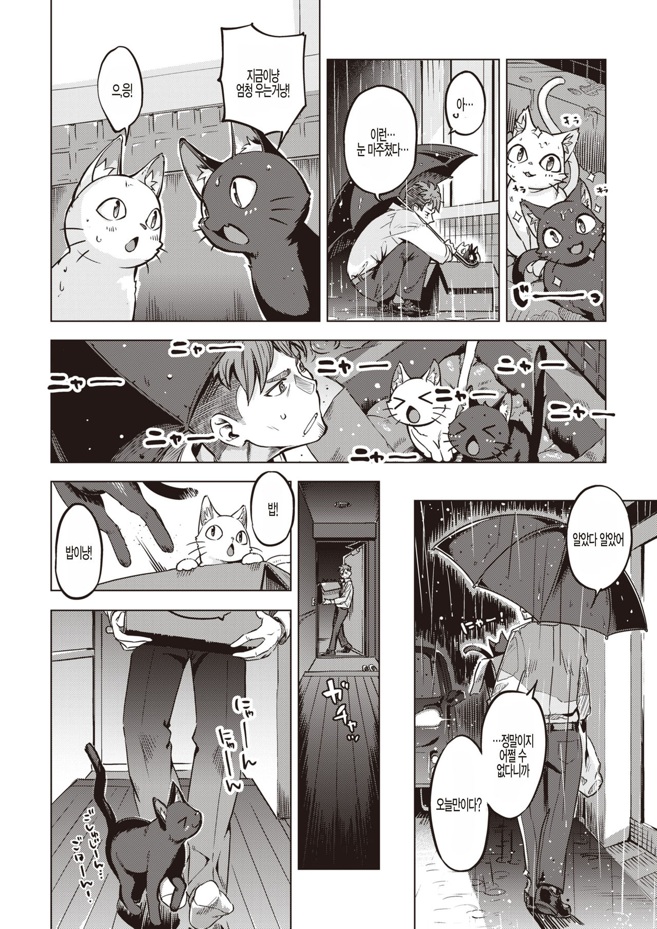 Oshikake Nyanko page 4 full