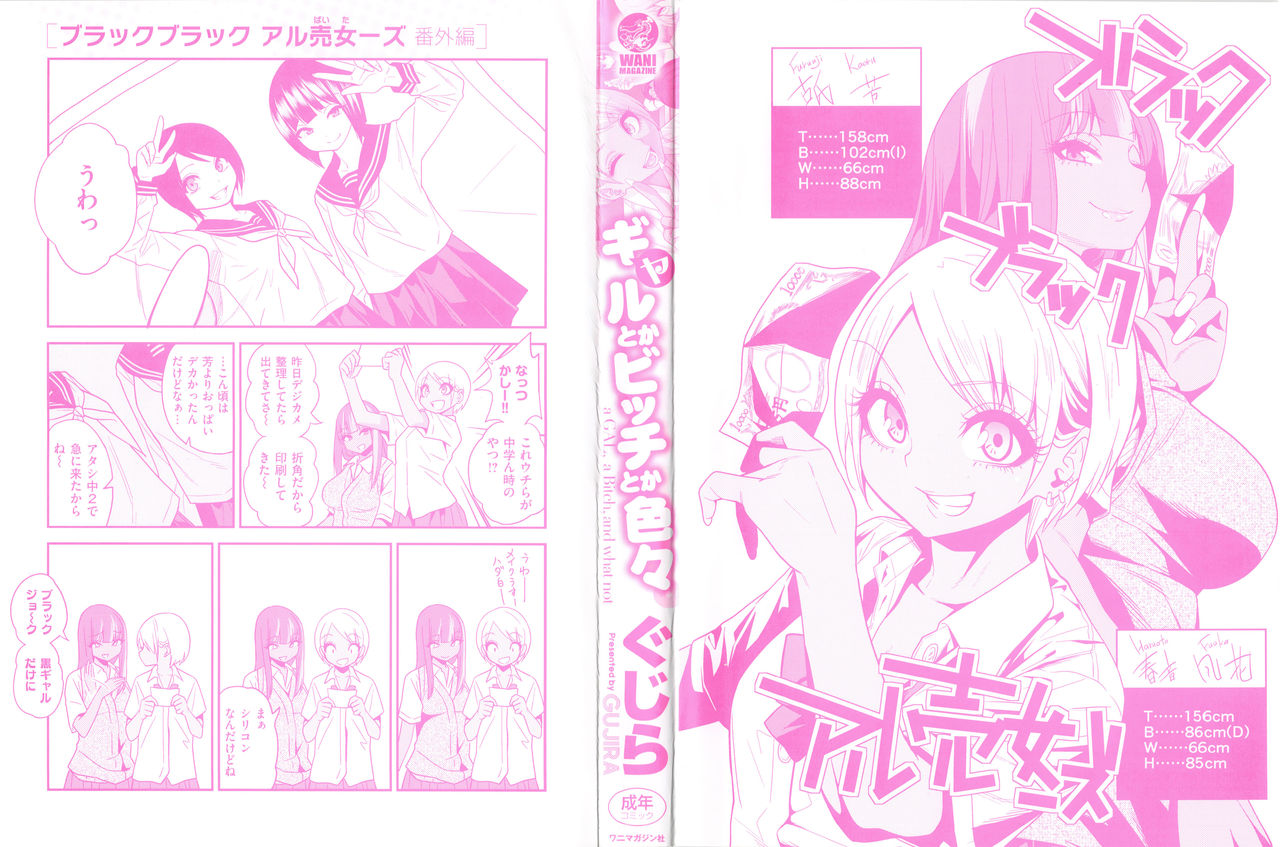 Gal Toka Bitch Iroiro 1 page 3 full