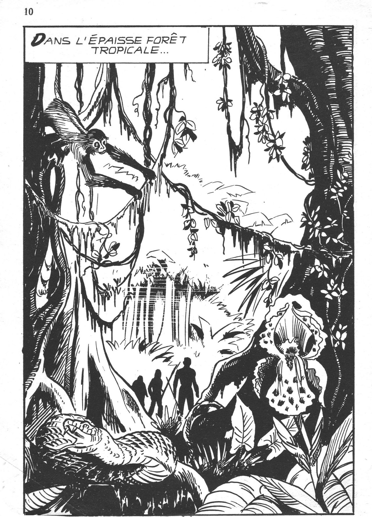 Elvifrance - Jacula - T042 - Il est Minuit, Docteur Verdier ! page 10 full