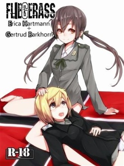 fliegerass