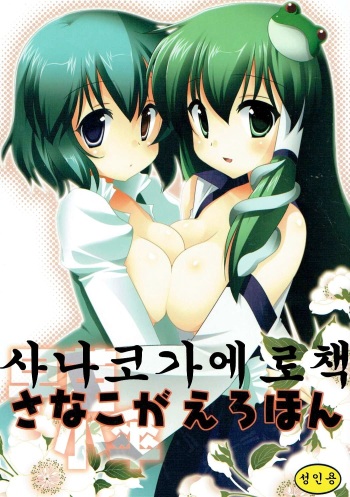 (SC46) [Nagiyamasugi (Nagiyama)] SanaKoga Erohon | 사나코가 에로책 (Touhou Project) [Korean] cover