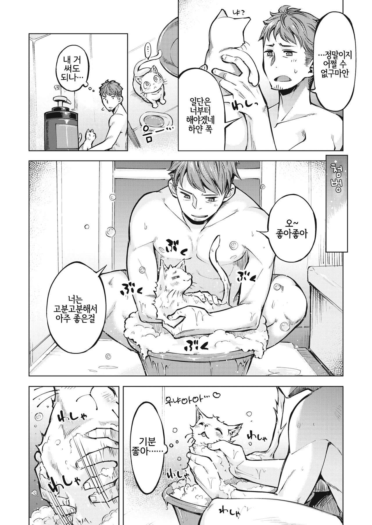 Oyukake Nyanko | 목욕물 부어진 야옹이 page 2 full
