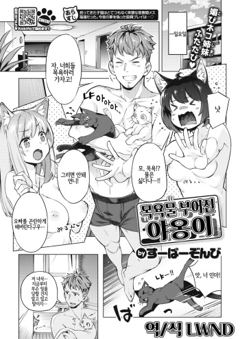 [Super Zombie] Oyukake Nyanko | 목욕물 부어진 야옹이 (COMIC Kairakuten BEAST 2020-10) [Korean] [LWND] [Digital] cover