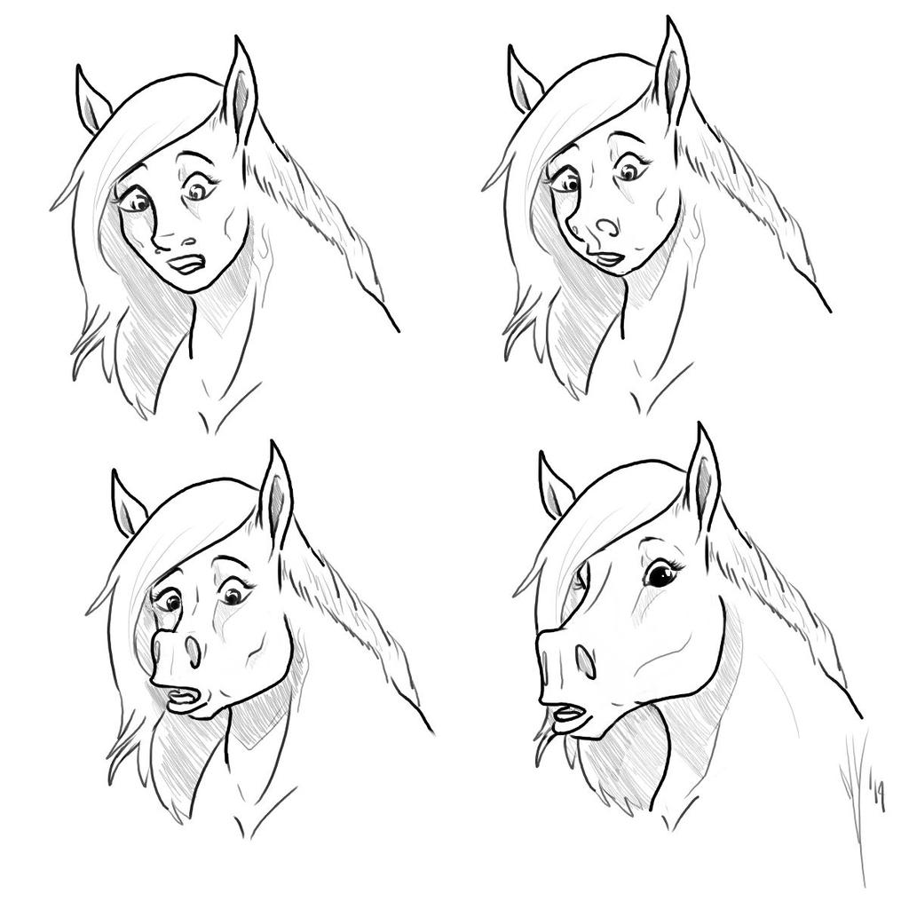 Year of the Horse page 7 full