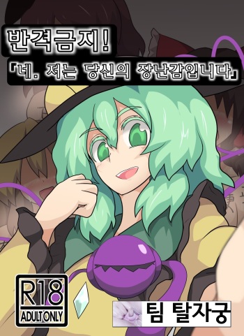 [Zensuu Hakai Kensa (Black)] Hangeki Kinshi! Hai. Watashi wa Anata no Aigangu  | 반격금지! 네. 저는 당신의 장난감입니다. (Touhou Project) [Korean] cover