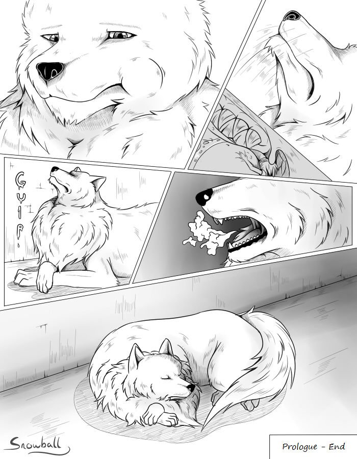 Schwarzpelz page 8 full