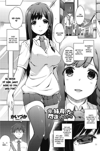 [Kaiduka] Ore wa Imouto no Sodatekata o Machigaeta Kamo |  I Might Have Made a Mistake With How I Raised My Little Sister (COMIC Penguin Celeb 2017-07) [English] [Digital] cover