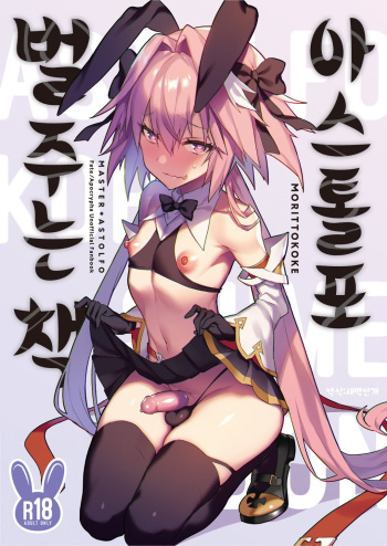 [Morittokoke (Morikoke)] Astolfo Korashime Hon | 아스톨포 벌주는 책 (Fate/Apocrypha) [Korean] [새벽안개] [Digital] cover