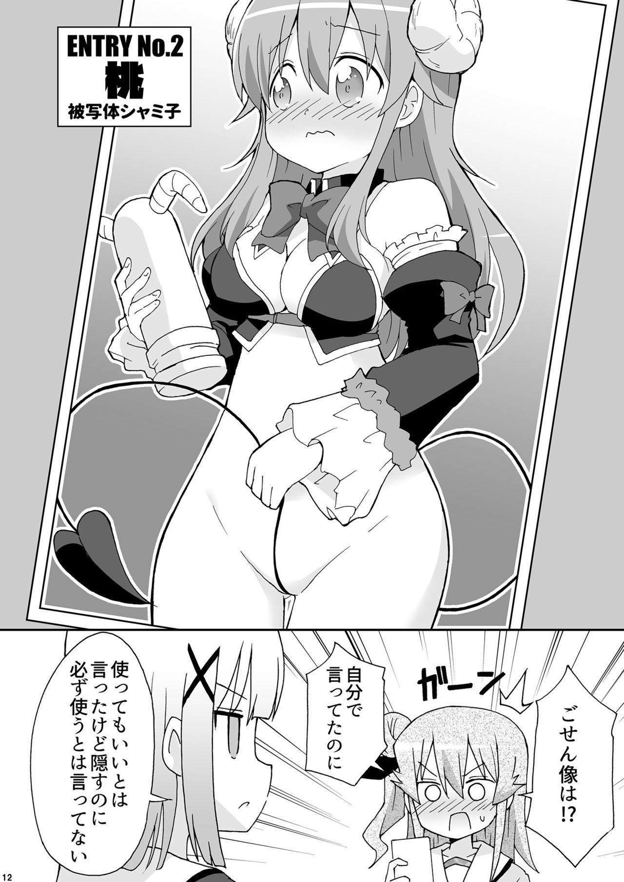 Wareme Mienai Shashin Senshuken 2 page 11 full