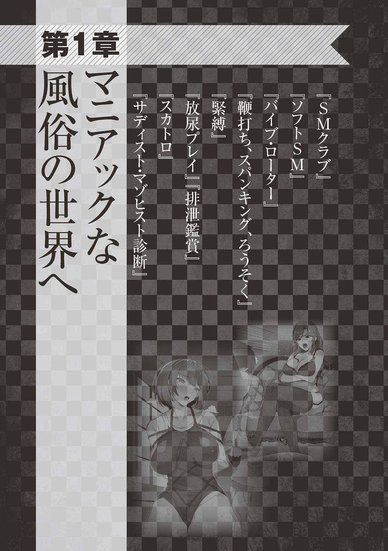 アブノーマル風俗入門 ラブドール風俗から、1000万円の風俗嬢まで page 11 full