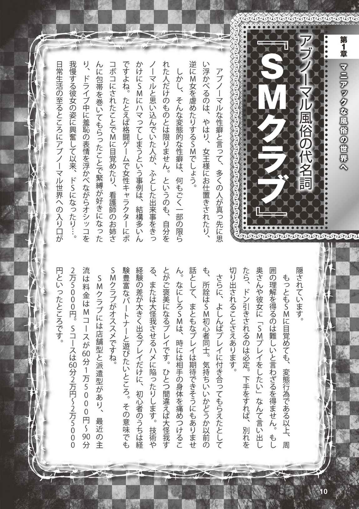 アブノーマル風俗入門 ラブドール風俗から、1000万円の風俗嬢まで page 12 full