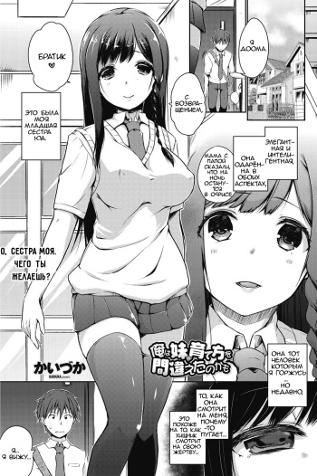 [Kaiduka] Ore wa Imouto no Sodatekata o Machigaeta Kamo |  Возможно, я ошибся в том, как воспитывал свою младшую сестру (COMIC Penguin Celeb 2017-07) [Russian] [Sovovsky] [Digital] cover