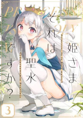 (Akihabara Chou Doujinsai) [Gyuunyuuya-san (Gyuunyuu Nomio)] Hime-sama Sore wa Seisui desu ka? 3 cover