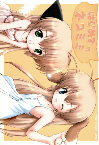 (C68) [Miso Nikomi Uran (Akiduki Konoe)] Hajimete no Nekomimi (Hajimete no Orusuban) cover