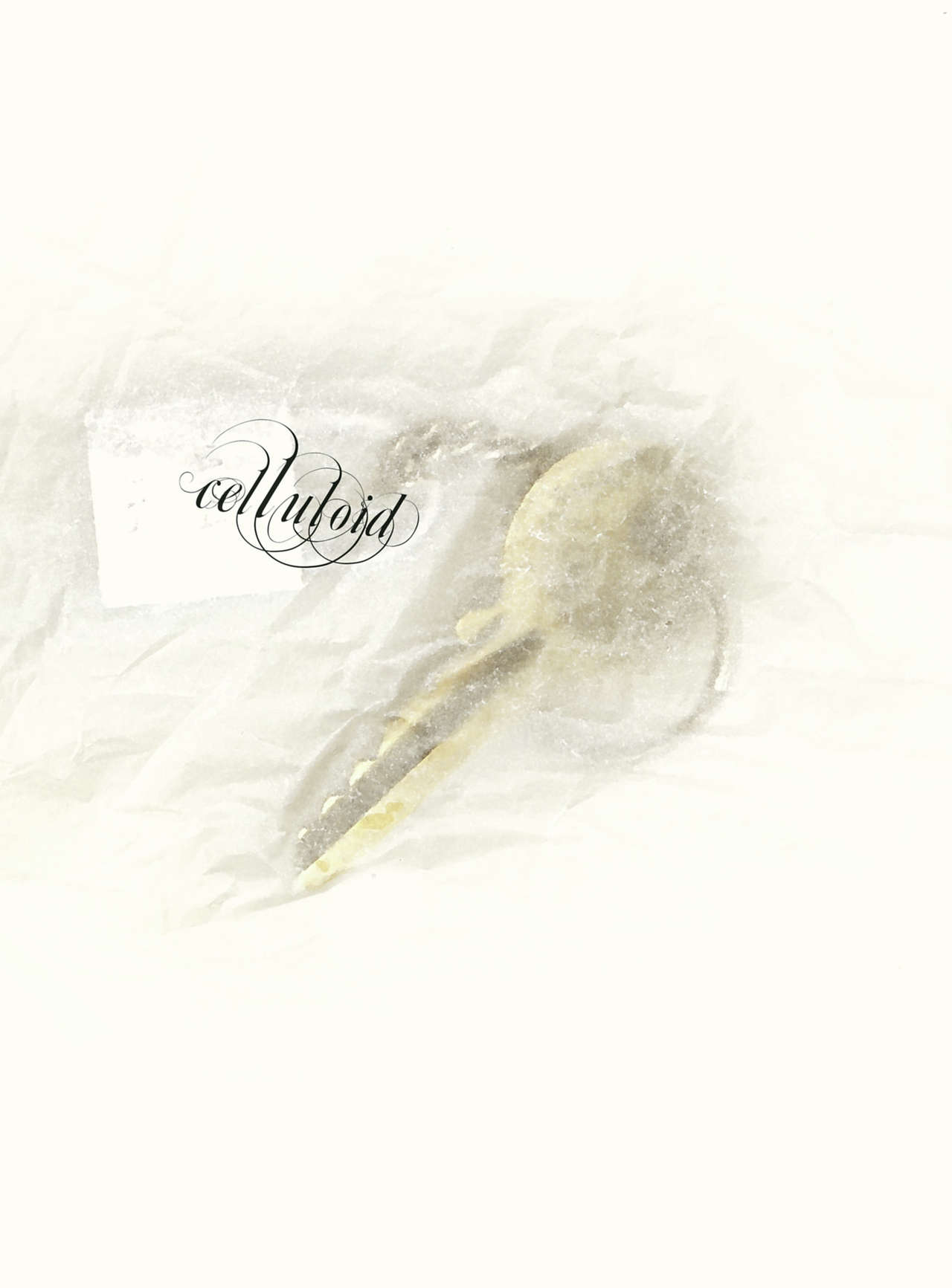 Celluloïd - un roman graphique érotique page 3 full