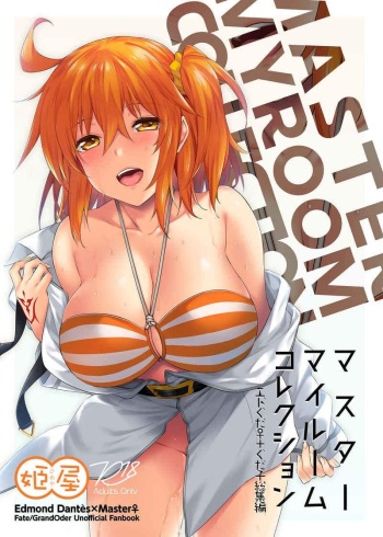 [Himeya (Abe Inori)] Master My Room Collection (Fate/Grand Order) [Digital] cover
