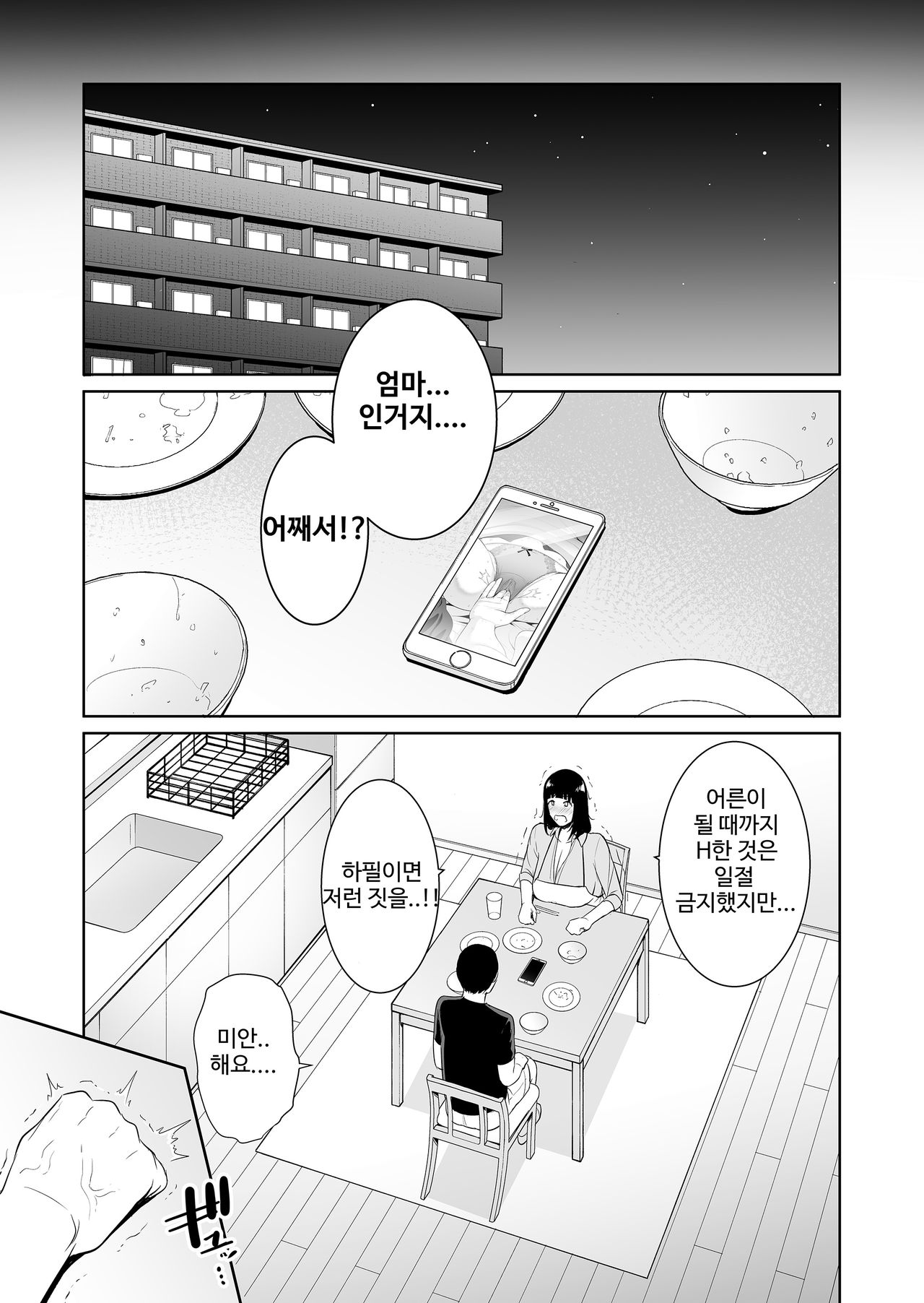 Musuko ni Matagaru Hi ~Haha to Musuko no Hamedori Kiroku~ | 아들에게 다리를 벌리고 올라타는 나날 page 8 full