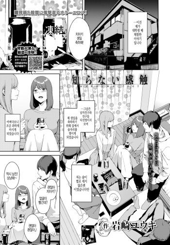 [Iwasaki Yuuki] Shiranai Kanshoku (COMIC BAVEL 2020-06) [Korean] [Digital] cover