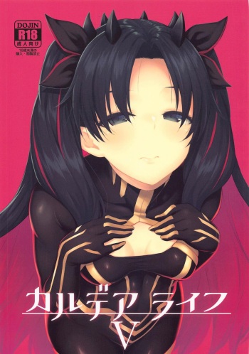 [Hirojuu Renshuuchou (Hiroya)] Chaldea Life V (Fate/Grand Order) cover