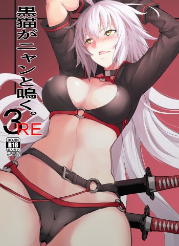 [IRON GRIMOIRE (SAKULA)] Kuroneko ga Nyan to Naku. 3RE (Fate/Grand Order) [English] {Doujins.com} [Digital] cover