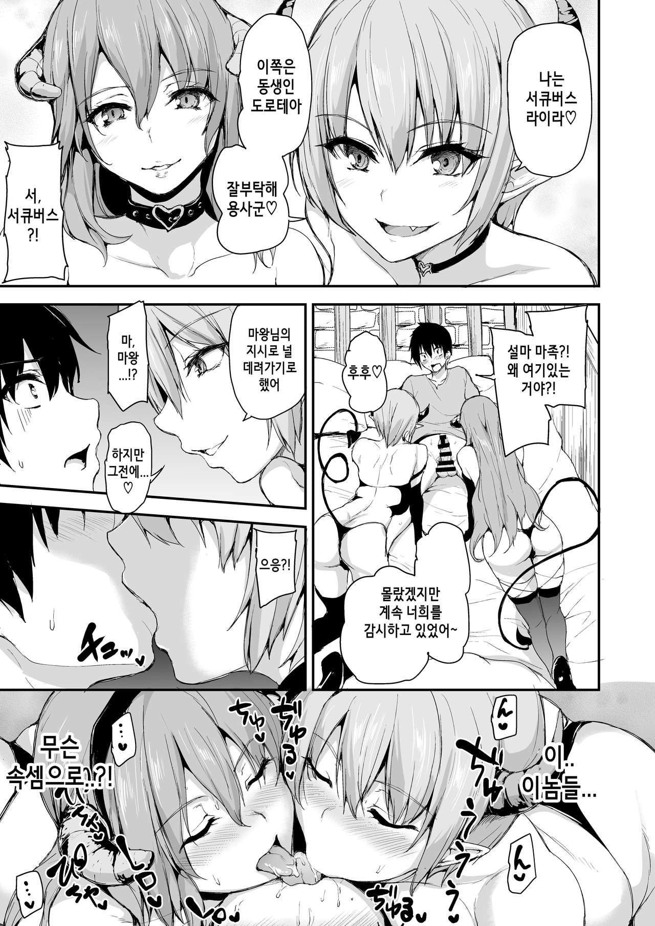 Isekai Harem Monogatari 5 ~Taiketsu!! Inran Succubus Shimai!~ | 이세계 하렘이야기5 ~대결!!음란서큐버스자매!~ page 10 full