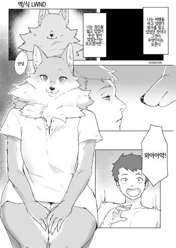 [Kimuchi-tei (KONCON)] No title (Kemo Nee-san 4) [Korean] [Digital] [LWND] cover