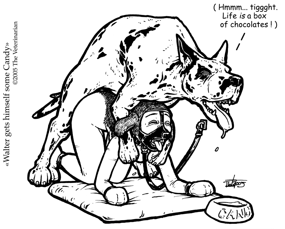 Artist Gallery - The Veterinarian page 11 full