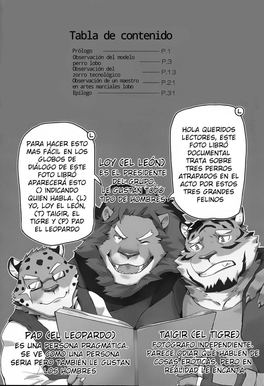Paparazzi’s diary page 3 full