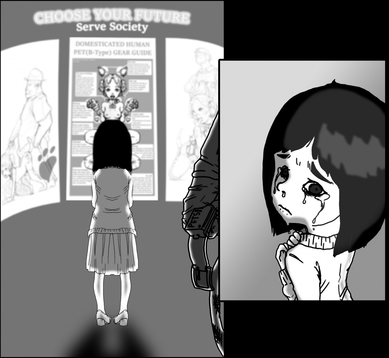 Complusory Petification page 6 full