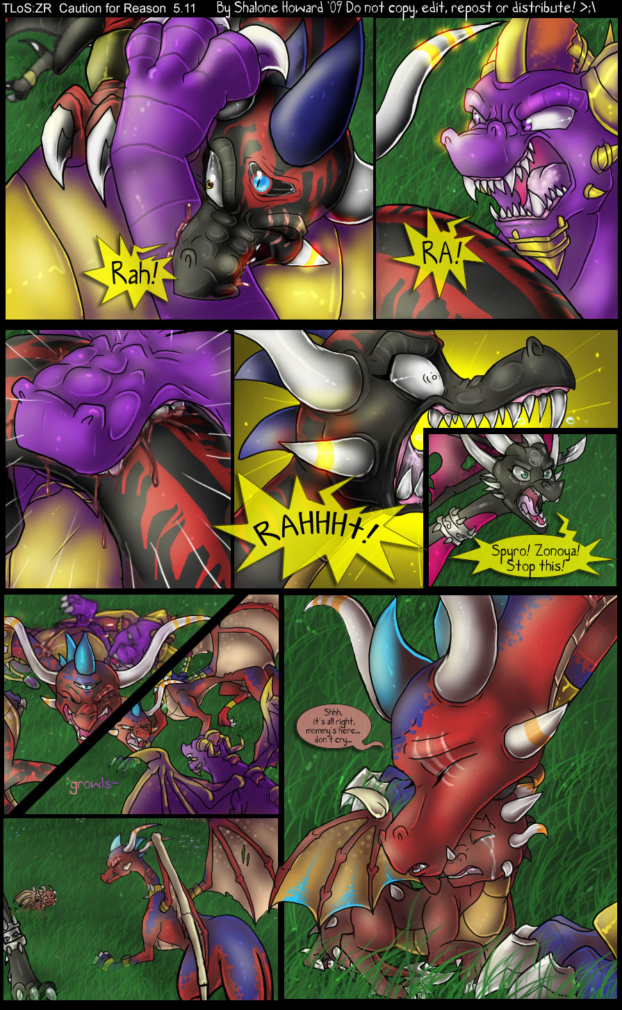 caution for reason ENGLISH page 11 full
