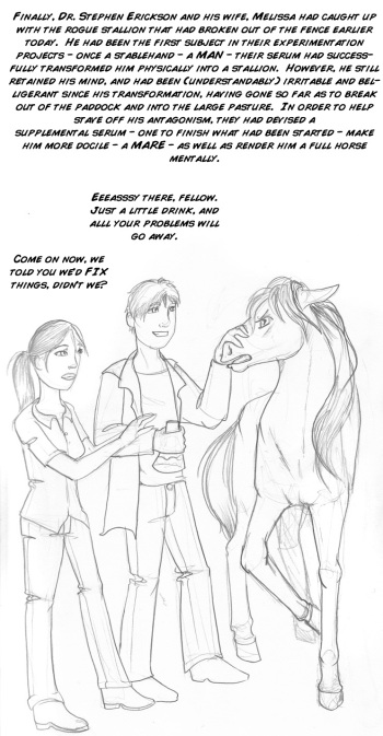 Horsefarm cover