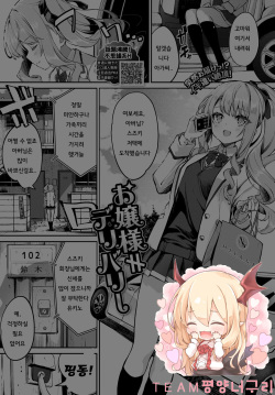 Ojou-sama≠Delivery | 아가씨≠딜리버리