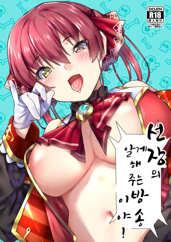 [Hikoushiki (CowBow)] Senchou no Wakarase Haishin Nandawa! (Houshou Marine) [Korean] cover