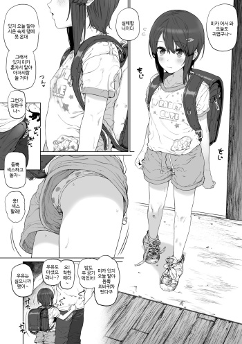 [Hishigata Tomaru] Yaritai Zakari Mika [Korean] cover