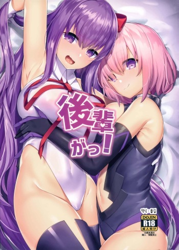 (C96) [Heruduki (35 Machi)] Kouhai ga! | 후배가! (Fate/Grand Order) [Korean] [몰길] cover