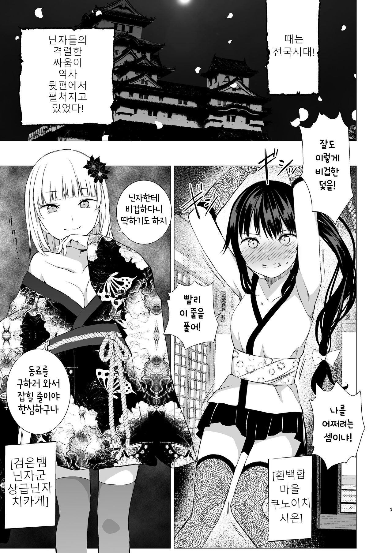 Oshinobi Shoujo no Asobikata page 2 full