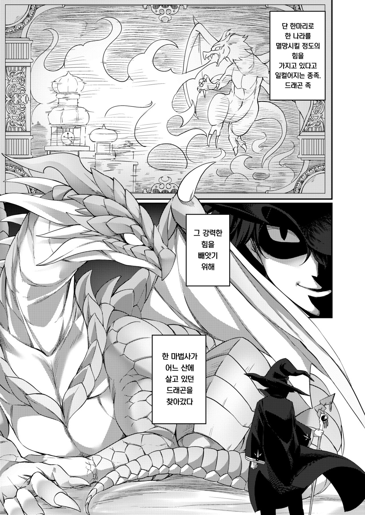 Jakutaika TS Dragon-san no Junan | 약체화 TS 드래곤씨의 수난 page 3 full