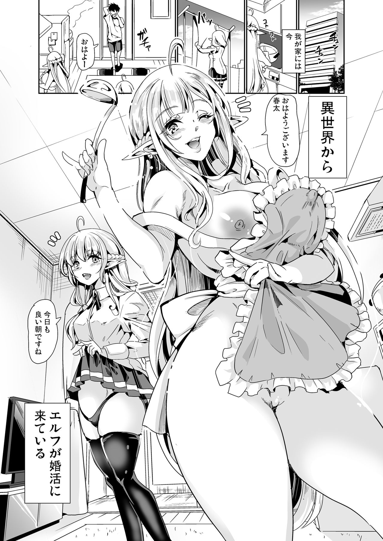 Sukebe Elf Shimai, Konkatsu ni Kuru ~Harem Lesson~ page 2 full